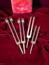 BORED Bible Oils Kit
