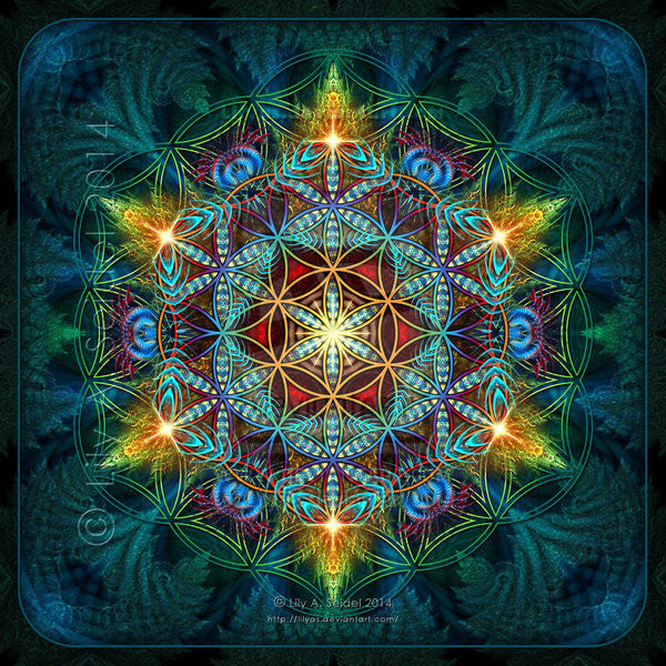 BORED Benediction Flower of Life Kit (2 forks)